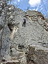 20260316_131419.jpg