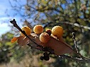 20261020_133732.jpg