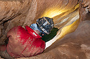 glavaci24_319Bmd.jpg