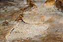 kamenopole17_211Bhd.jpg