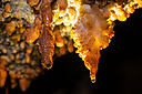 nanovica16_029Bhd.jpg