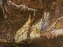 nanovica16_087Cmd.jpg