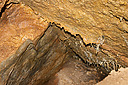 osenovlag24_151Bmd.jpg