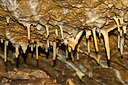 osenovlag24_153Bmd.jpg